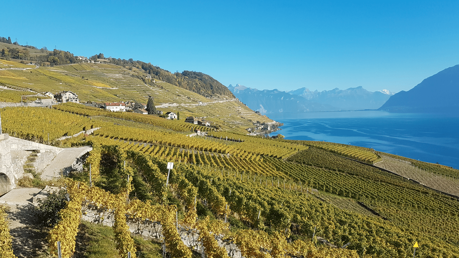 Experience the Wine trail in Lavaux