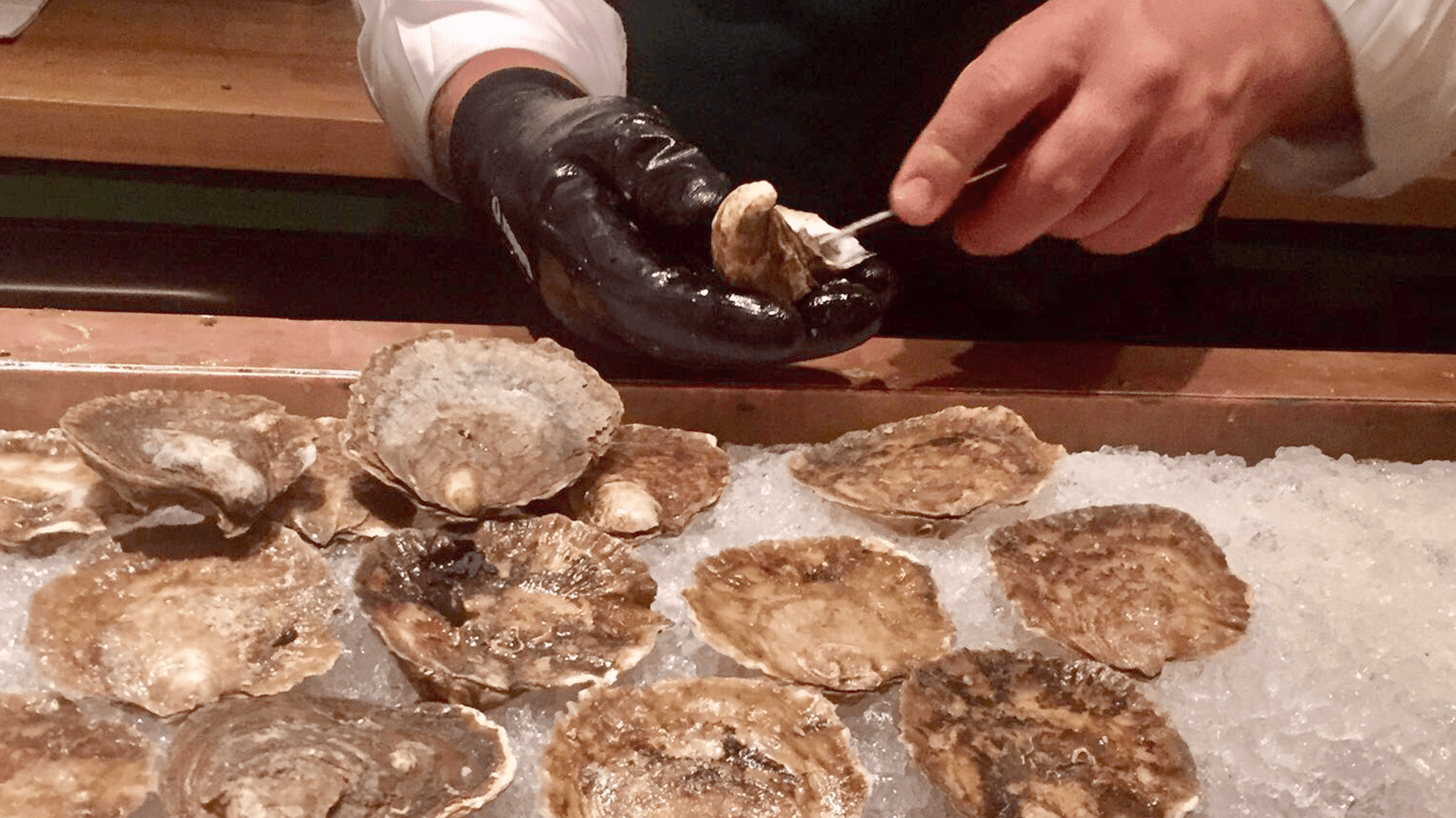 Taste the delicious oysters from Chez Henri