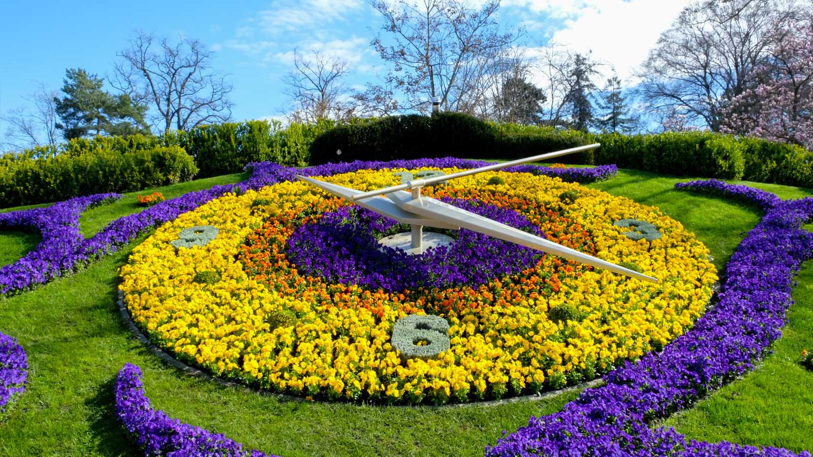 The large Flower clock of Geneva made of yellow, purple and orange flowes and green grass on a day with blue sky what to do in Geneva