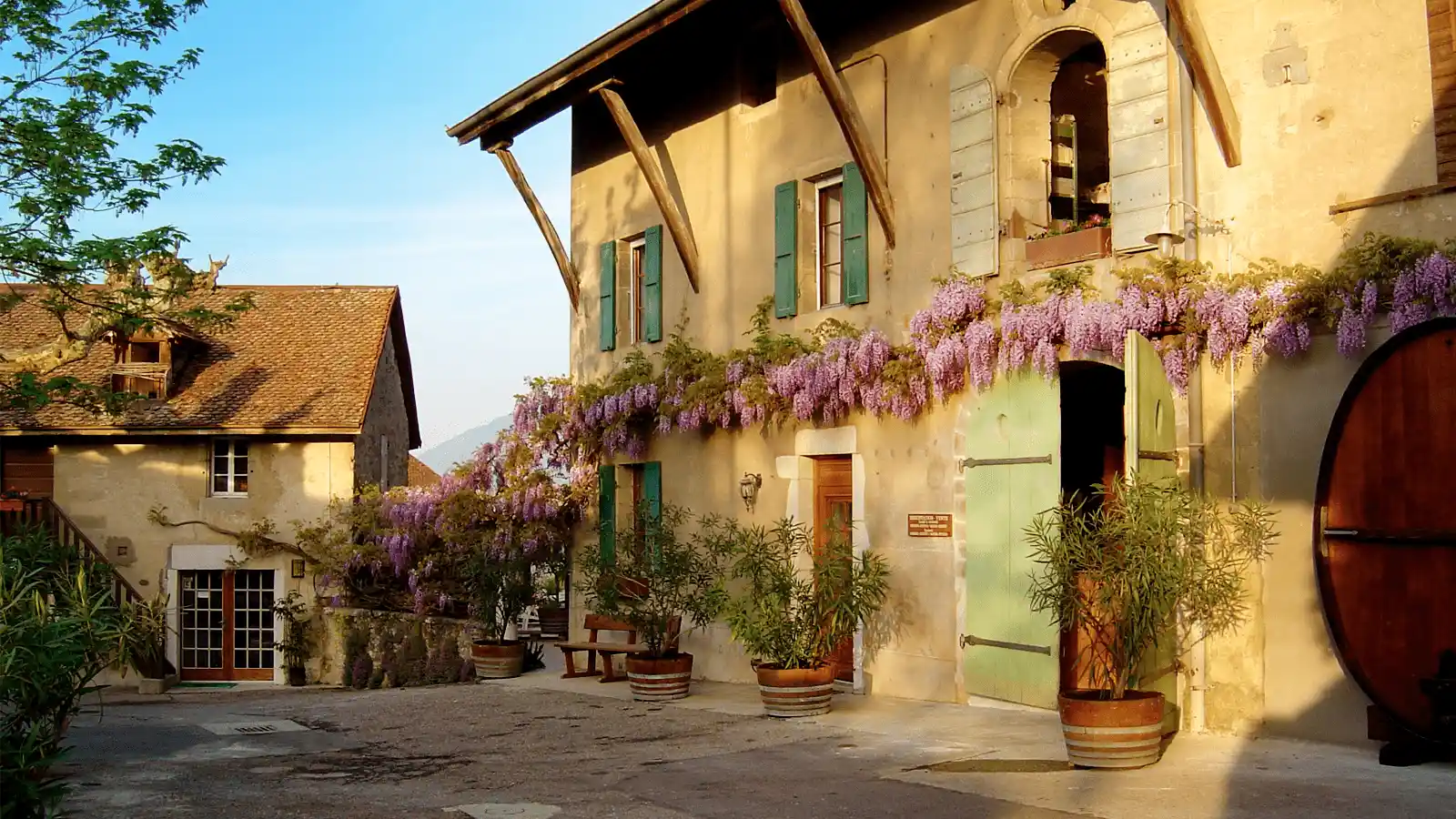 Wine tasting in Geneva's stunning countryside