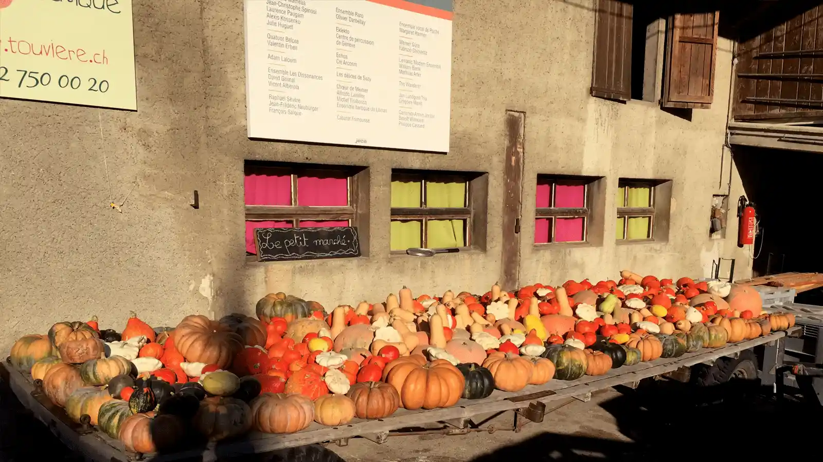 Pick-your-own fruits and vegetables